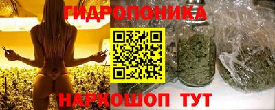 спиды Лесосибирск